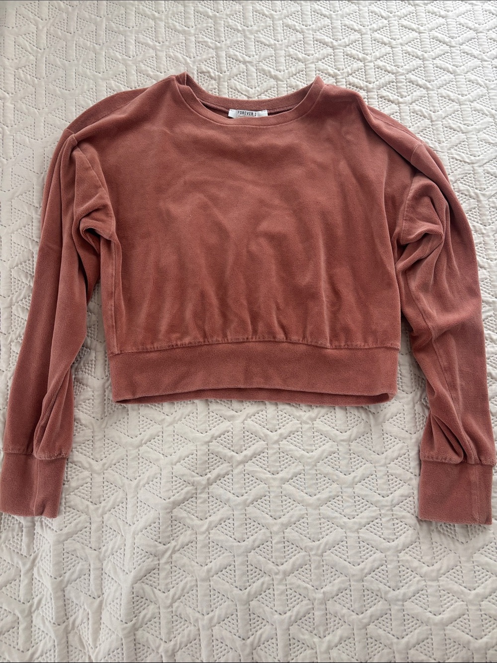 Forever 21 Cropped Velvet Sweatshirt in Terracotta/teddy